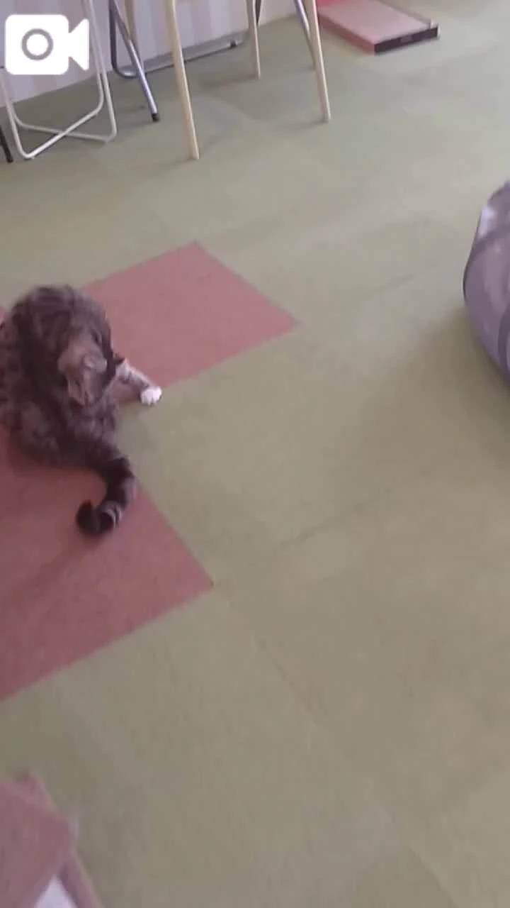 ほっとひと息😻