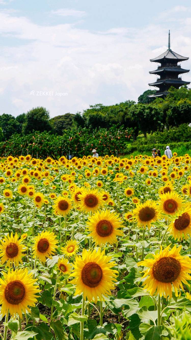 ９月になって初めての金曜日
