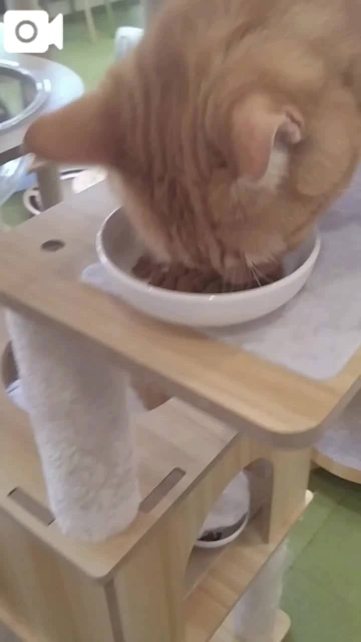 ほっとひと息😻