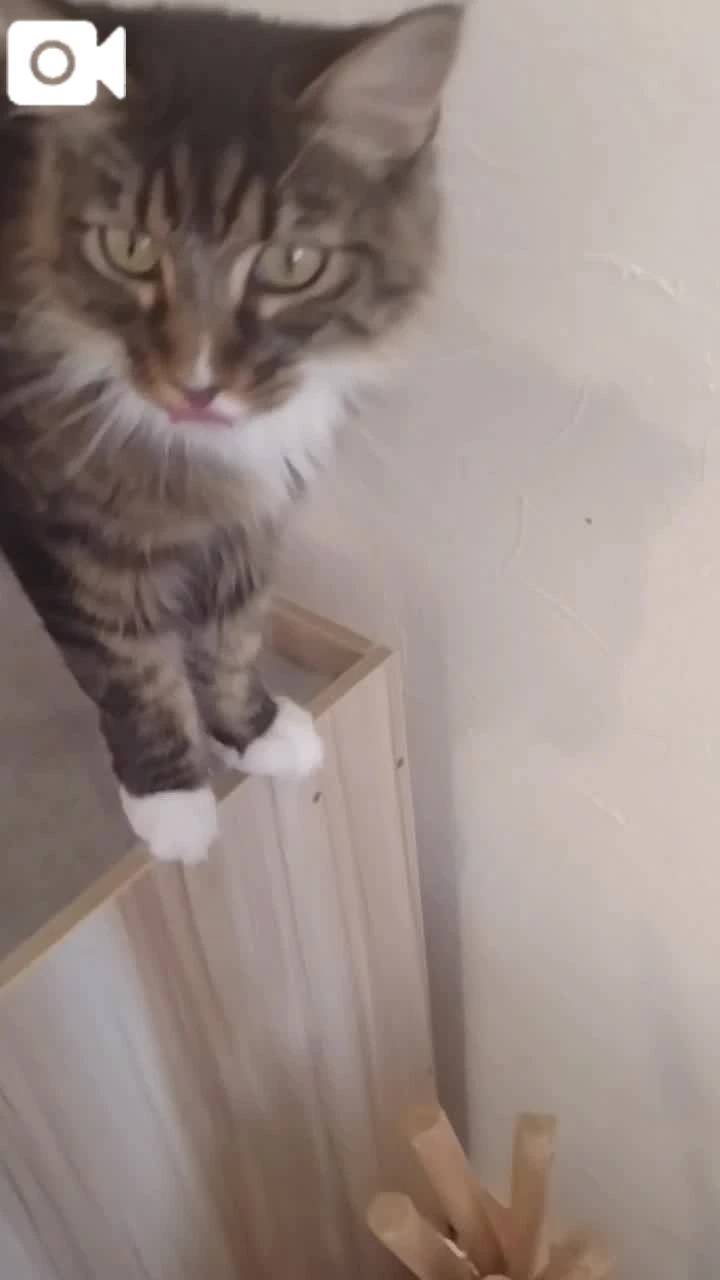 ほっとひと息😻