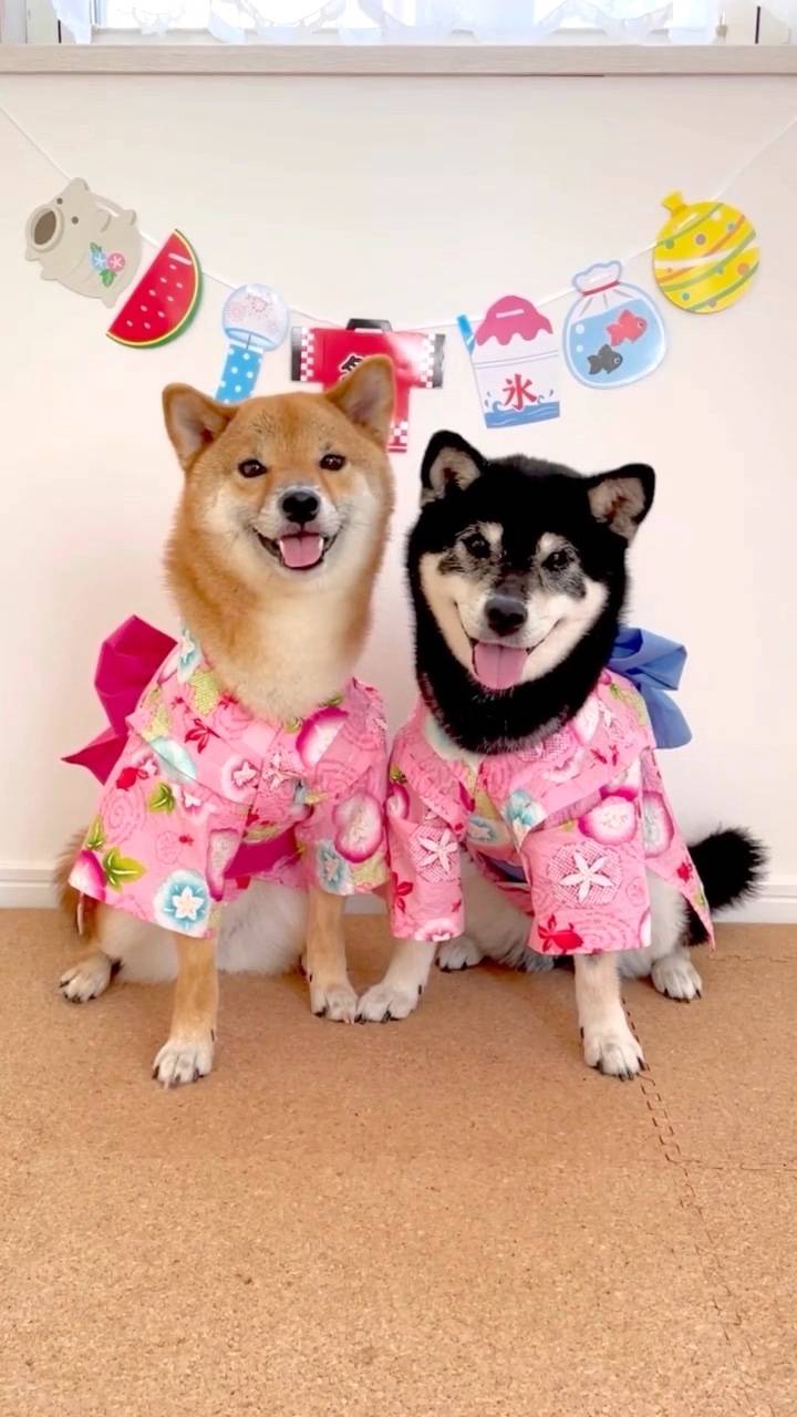 おやすみなさい