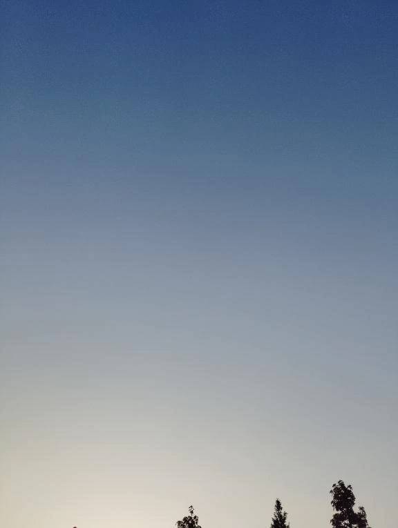 おはようございます😊