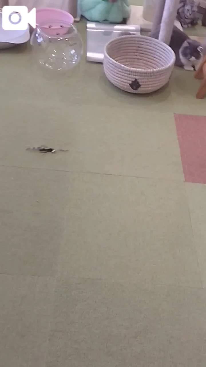 ほっとひと息😻