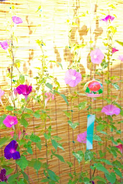 ９月になって２回目の火曜日