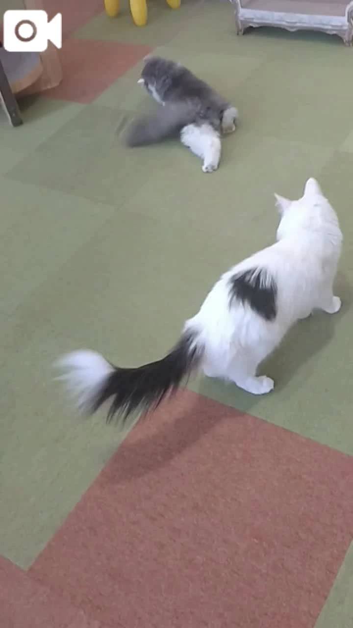 ほっとひと息😻