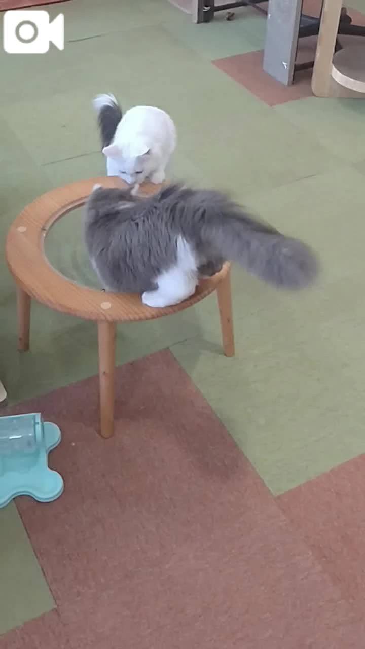 ほっとひと息😻