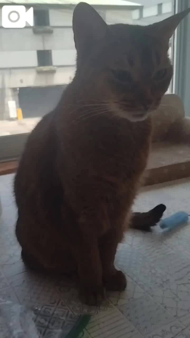 ほっとひと息😻