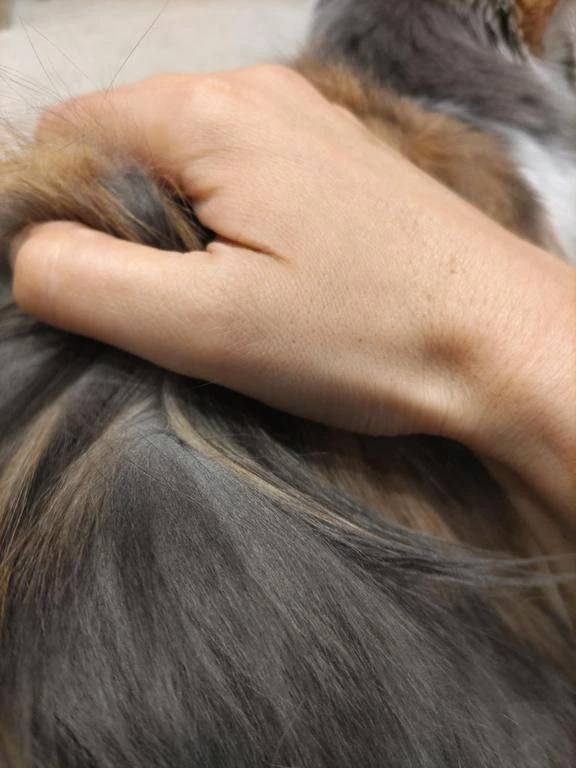 コスプレ好きさん