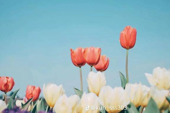 9/10  アルル　201  お兄様❤️