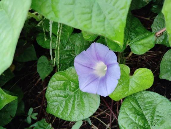 おはようございます😊