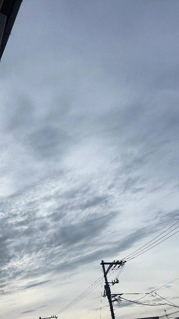 おはようございます(⸝⸝⸝´▽`⸝⸝⸝)