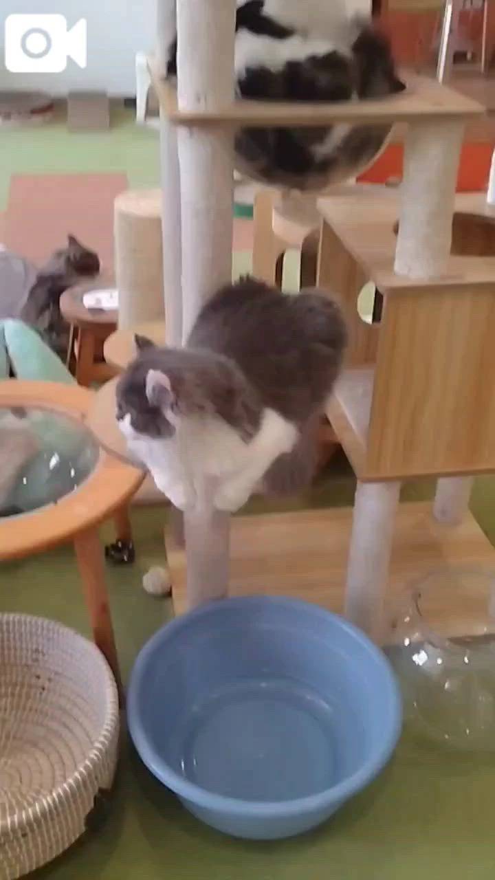 ほっとひと息😻