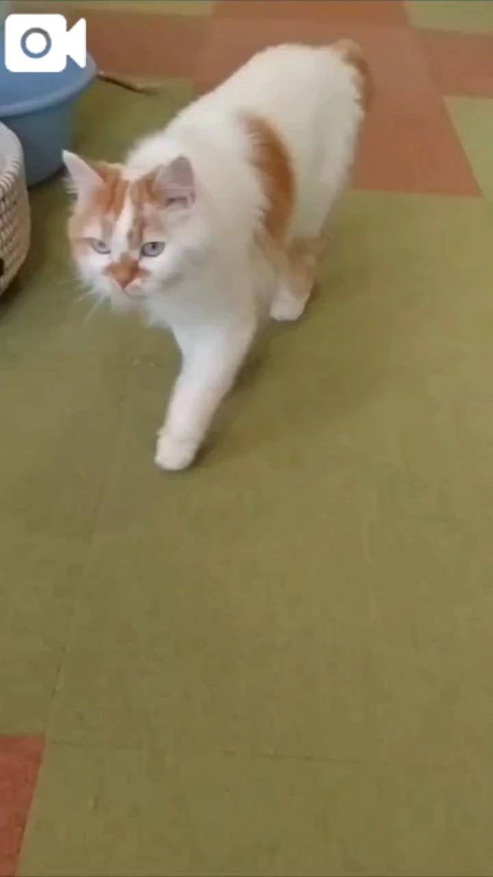 ほっとひと息😻