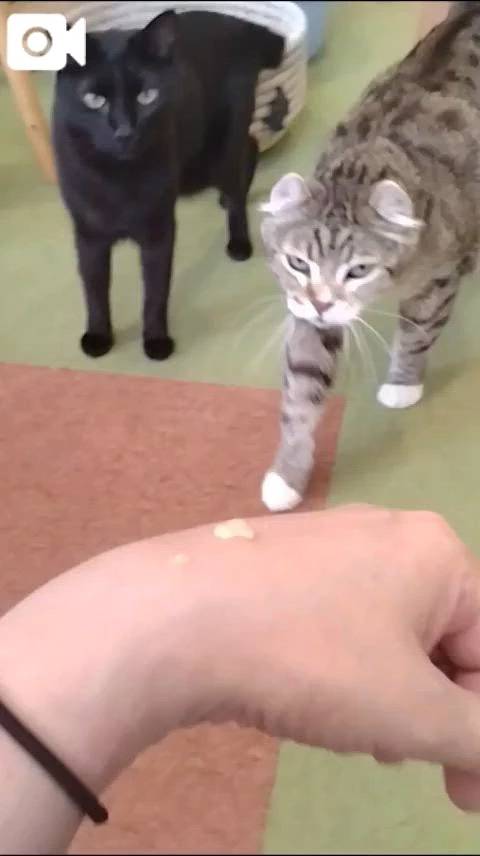 ほっとひと息😻