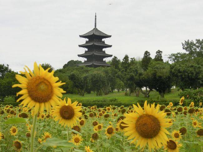 ９月になって３回目の火曜日