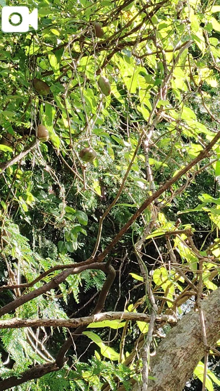 おはようございます😊