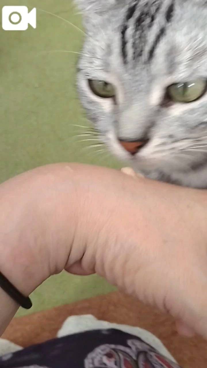 ほっとひと息😻