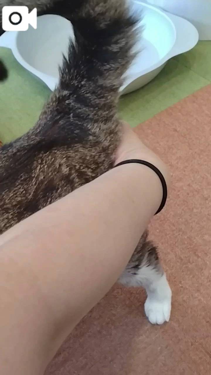 ほっとひと息😻