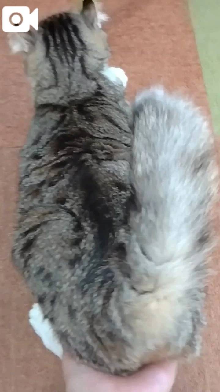 ほっとひと息😻