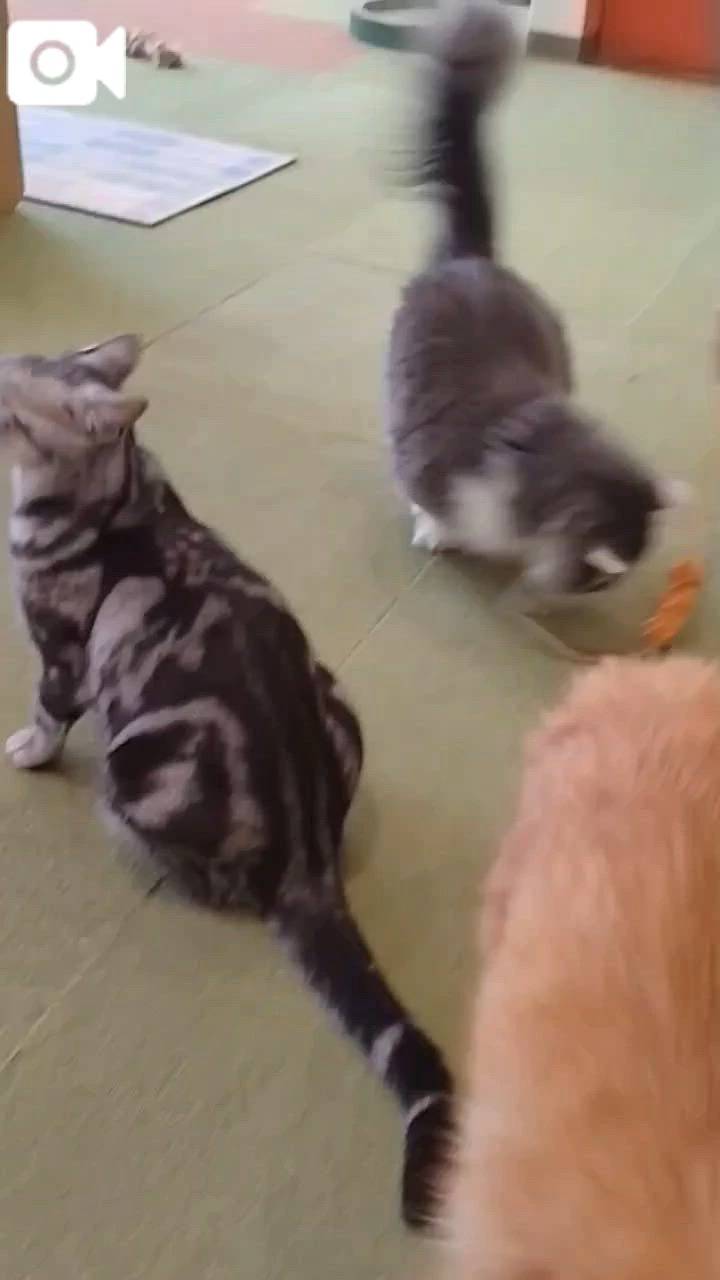 ほっとひと息😻