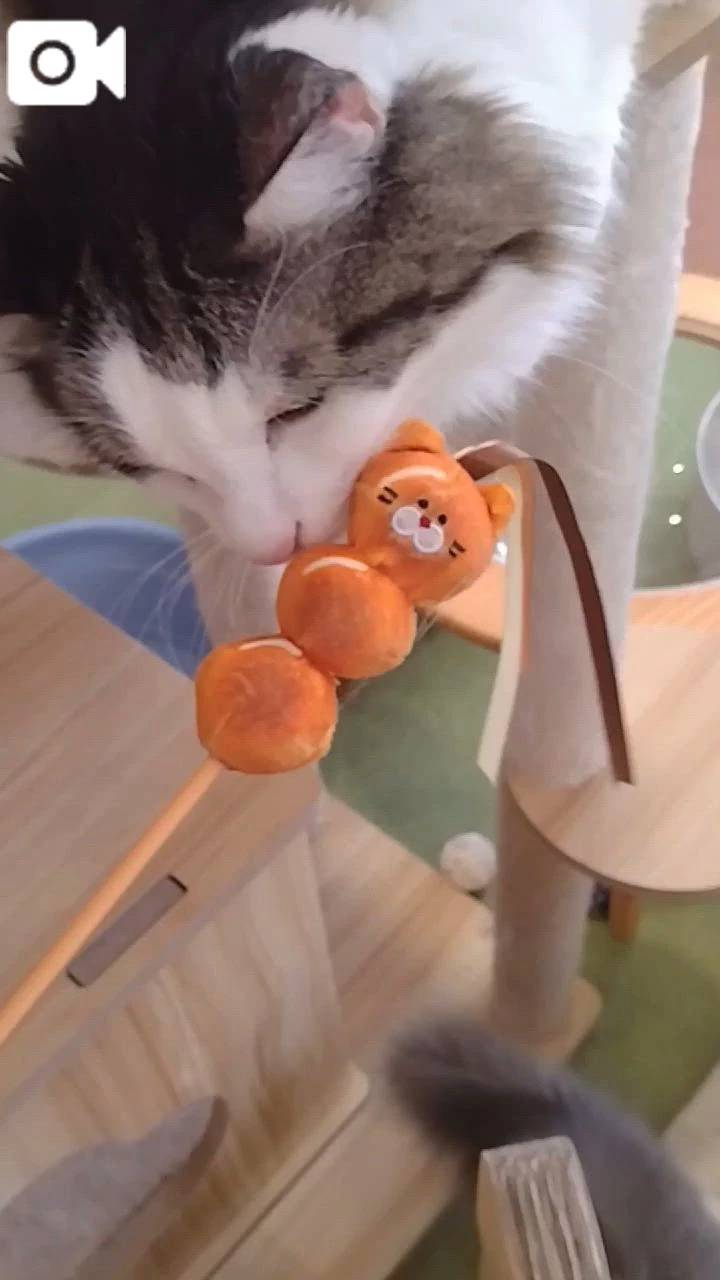 ほっとひと息😻