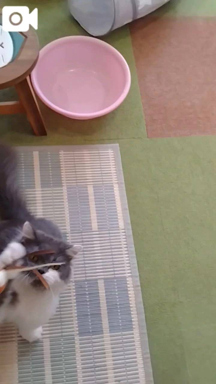 ほっとひと息😻