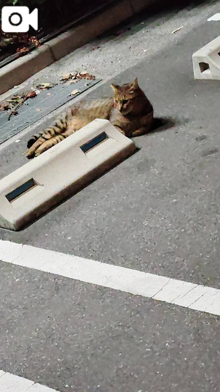 おはようございます😊
