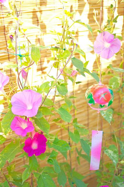 ９月になって４回目の火曜日