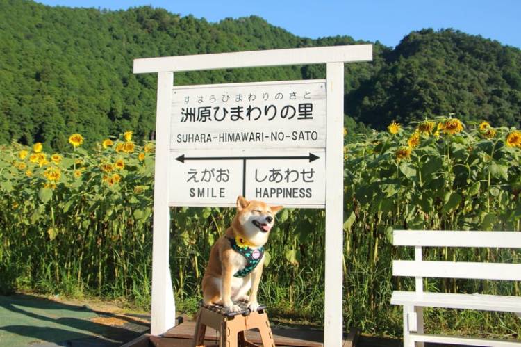 予想最高気温は２４℃