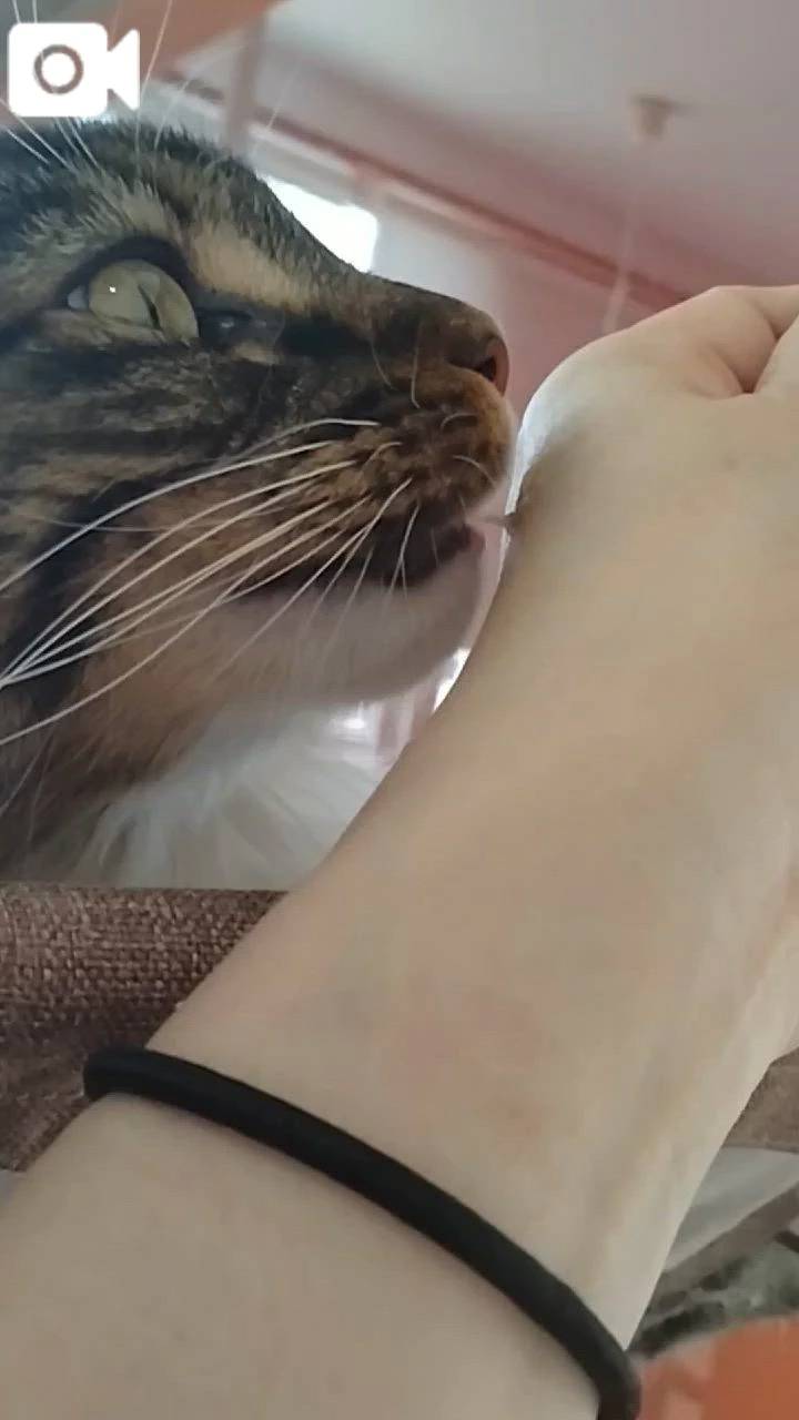 ほっとひと息😻