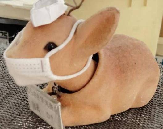 店長さん、もう会えないですか？😭