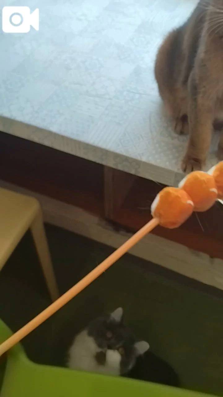 ほっとひと息😻