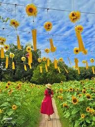 今月最後の木曜日