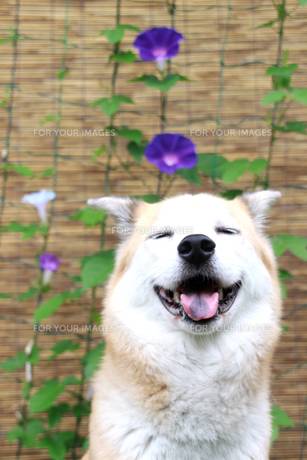 本日も宜しくお願いいたします