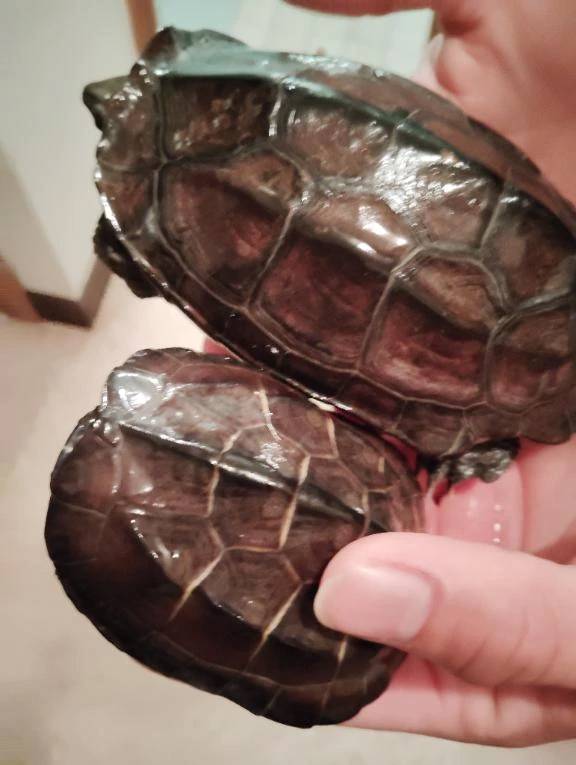 おはようございます😊