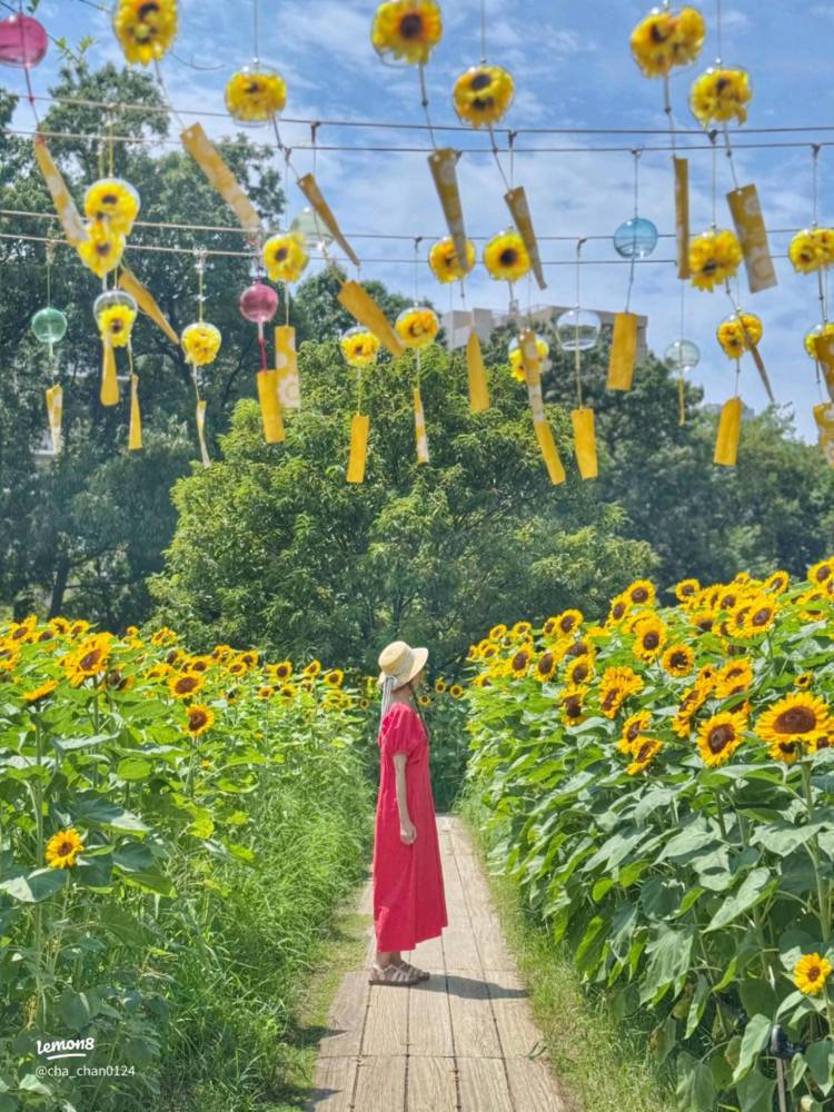 今月最後の金曜日