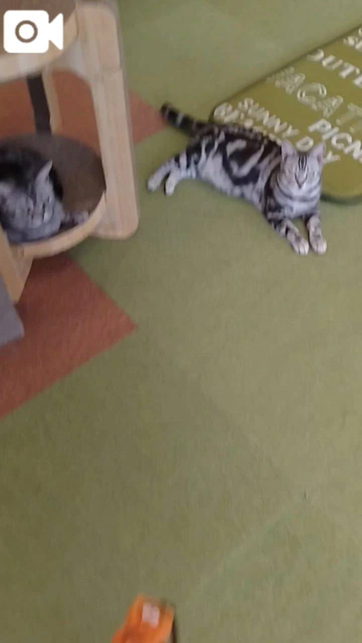 ほっとひと息😻