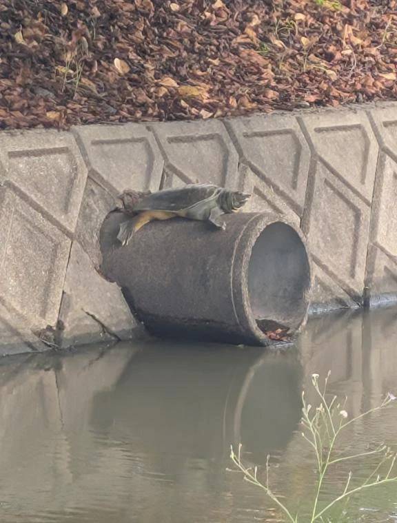 ヤベー‼️見ちゃった(⁠;⁠;(⁠´⁠⊙⁠ω⁠⊙⁠`⁠)⁠！