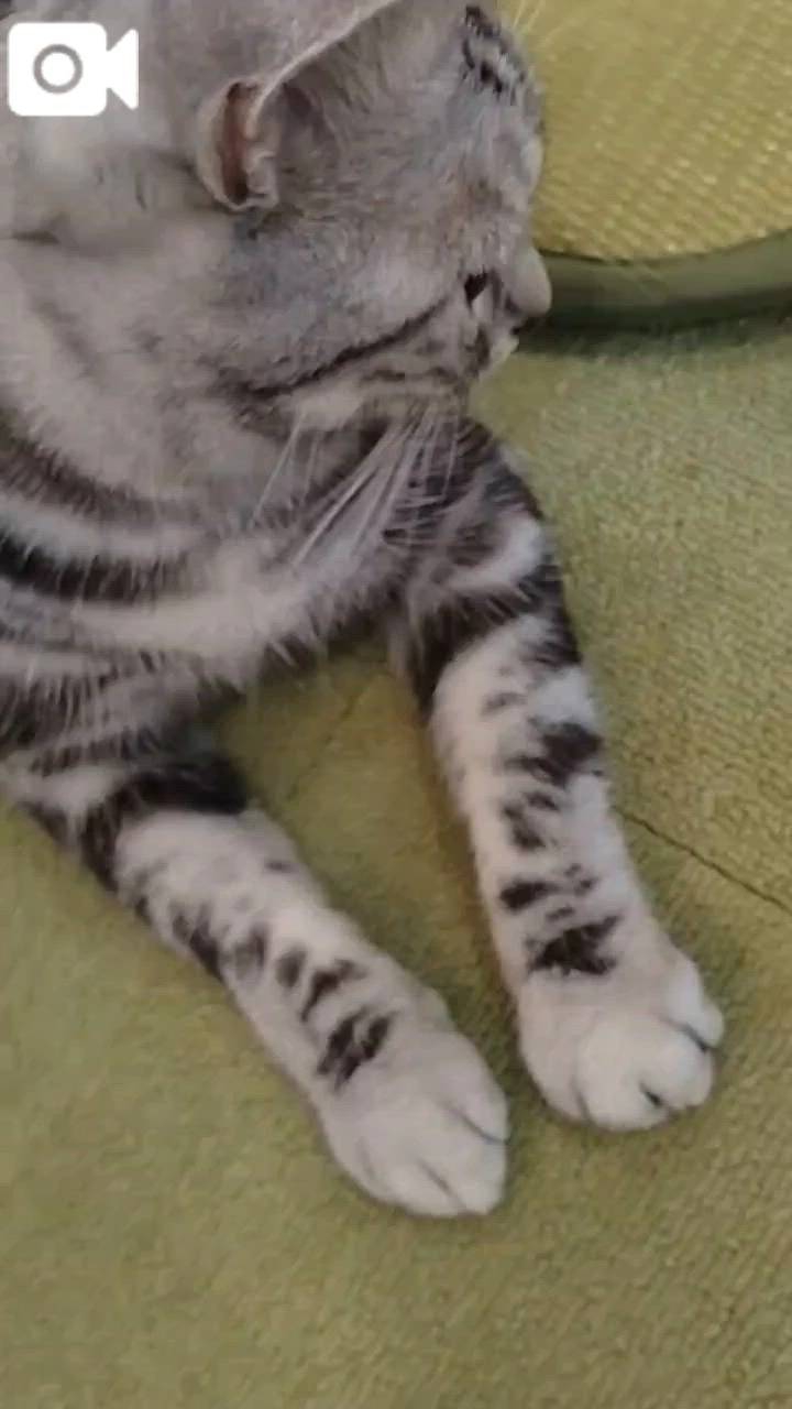 ほっとひと息😻