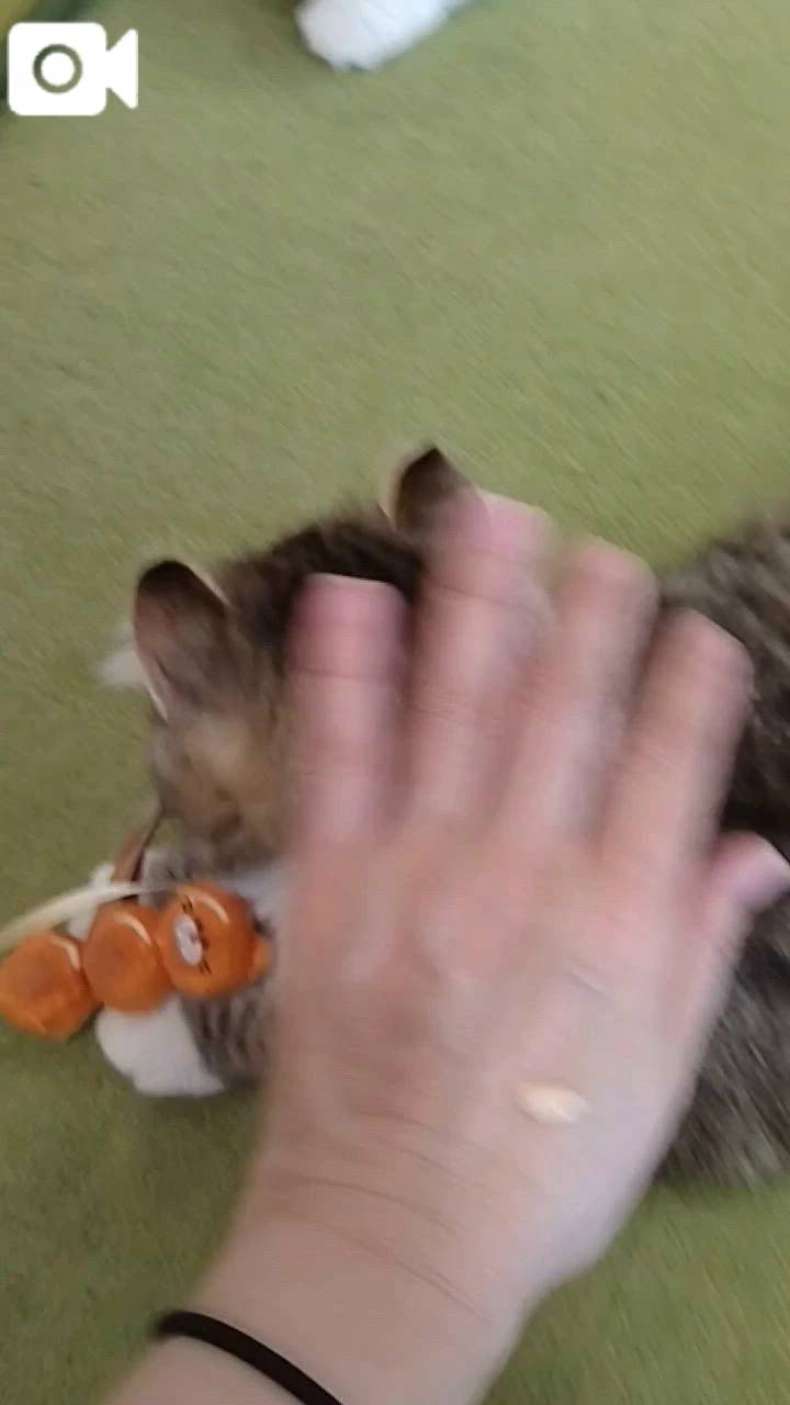 ほっとひと息😻