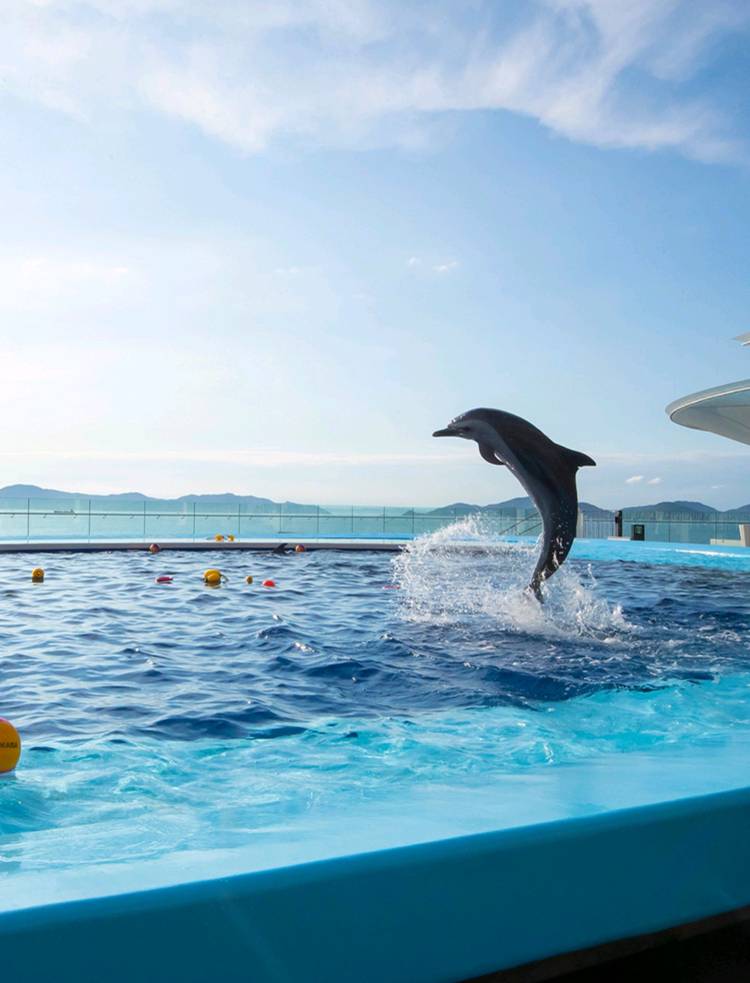 初めましてのA様に感謝~です