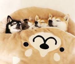 さゆり　　指名料無料中