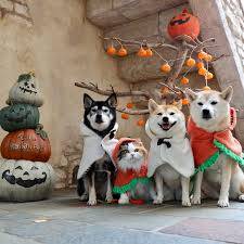 さゆり　　指名料無料中