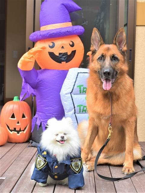 おやすみなさい