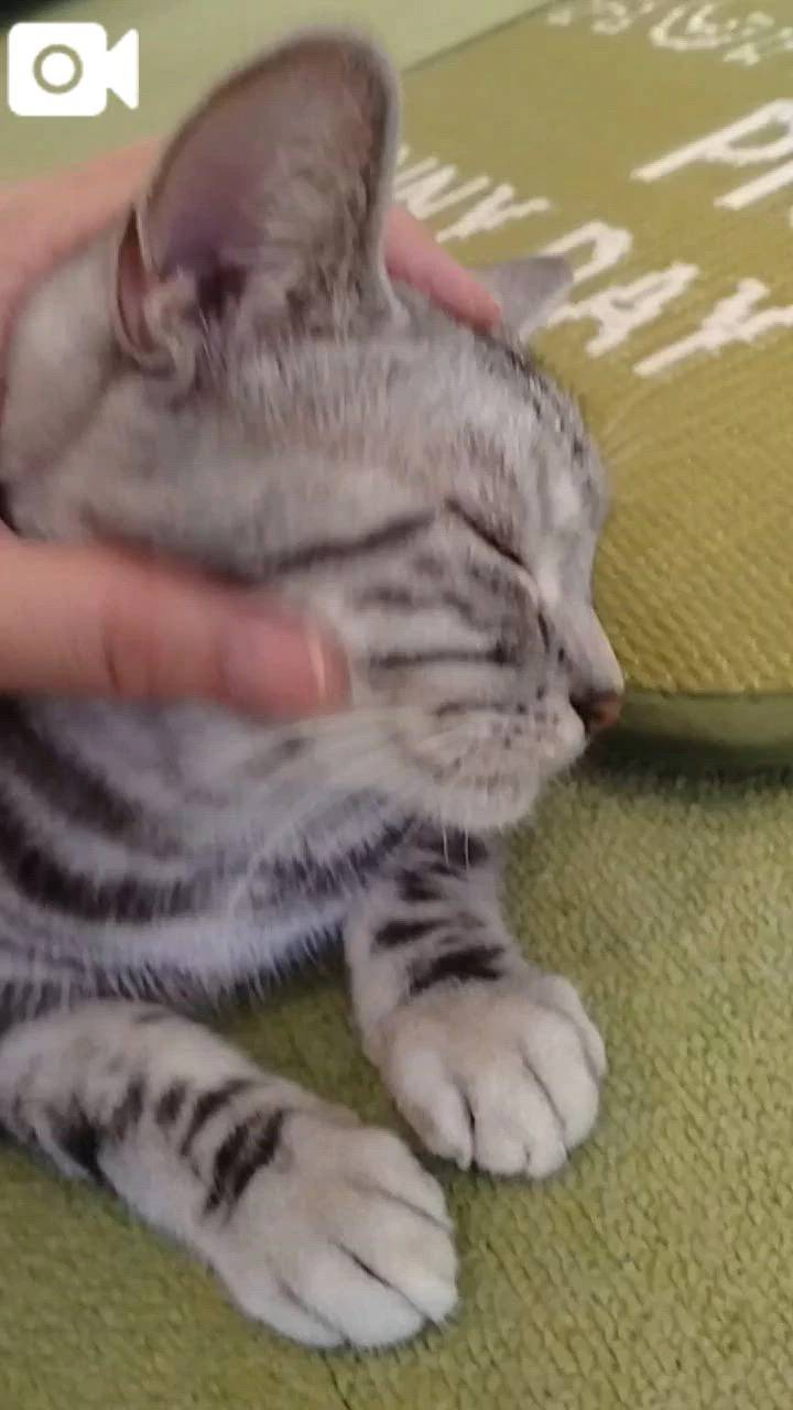 ほっとひと息😻