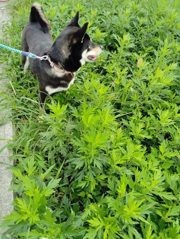 おはようございます😊