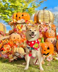 さゆり　　指名料無料中