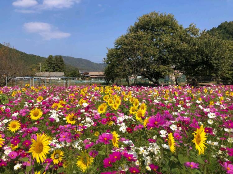 １０月になって初めての火曜日