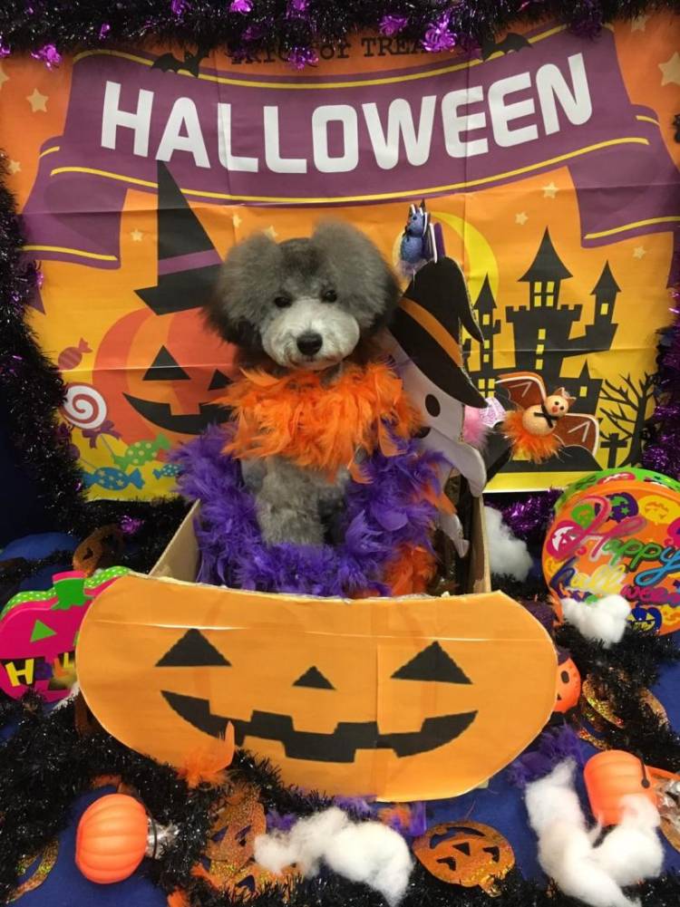 本日も宜しくお願いいたします