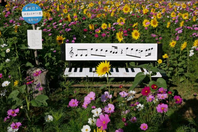 さゆり　　指名料無料中